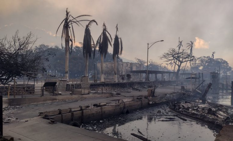 Гавайи: от 8 до 10 миллиардов долларов стоимость разрушительных пожаров