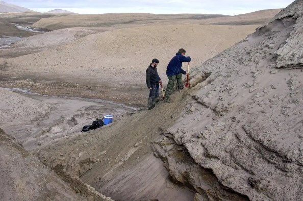 Некогда пышная Арктика