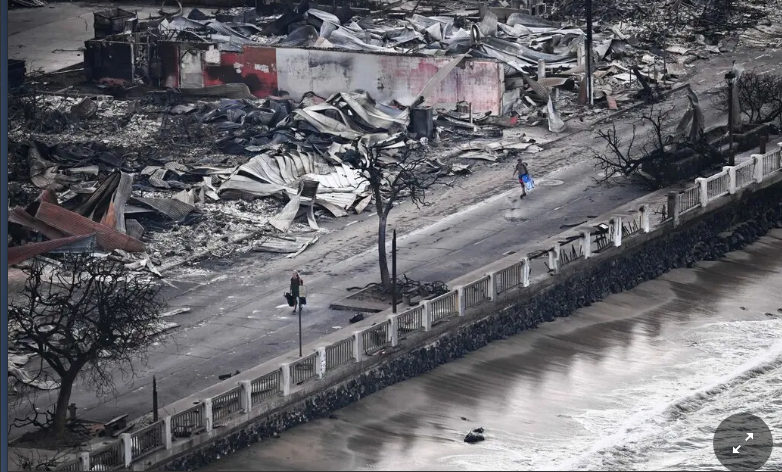 Что мы знаем о лесных пожарах на Гавайях