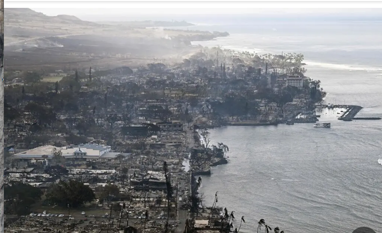 Что мы знаем о лесных пожарах на Гавайях