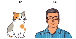 Сколько лет вашей кошке в человеческих годах? Вероятно, больше, чем вы думаете.