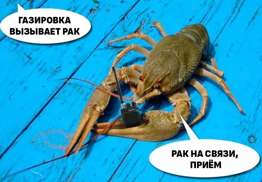 Газировка с сахаров вызывает рак печени.