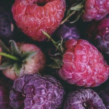 Виктория, г. Симферополь