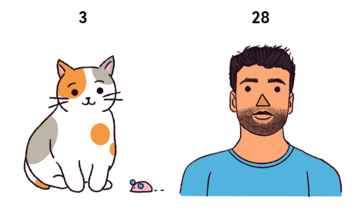 Сколько лет вашей кошке в человеческих годах? Вероятно, больше, чем вы думаете.