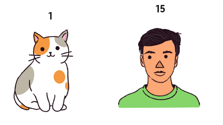 Сколько лет вашей кошке в человеческих годах? Вероятно, больше, чем вы думаете.