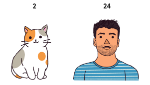 Сколько лет вашей кошке в человеческих годах? Вероятно, больше, чем вы думаете.