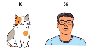 Сколько лет вашей кошке в человеческих годах? Вероятно, больше, чем вы думаете.