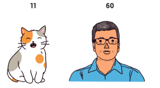 Сколько лет вашей кошке в человеческих годах? Вероятно, больше, чем вы думаете.