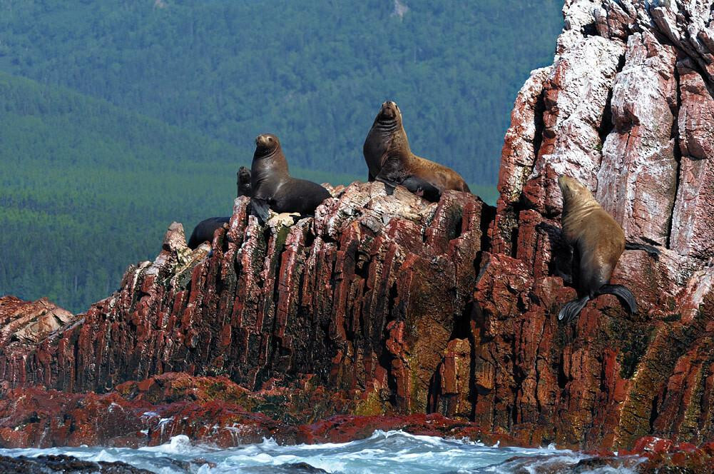Увидеть один раз и полюбить на всю жизнь.
