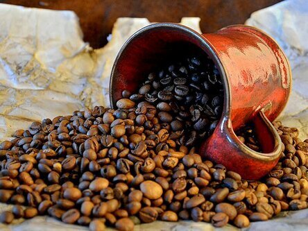 "Я не хочу встречать утро с чашечкой кофе из желудей!" Почему россияне должны переходить на цикорий или краснодарский чай?