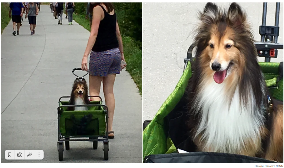 Поздороваться с соседями может повысить ваше благосостояние, говорится в новом опросе