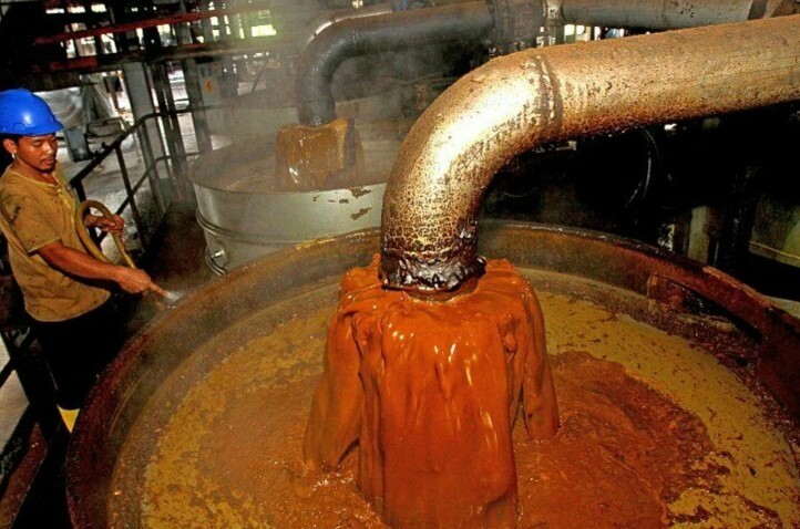 Зубами могилу роют. Пальмовое масло - малоизученный яд или потреблять можно? Возможен ли в РФ Анти-пальмовый закон?