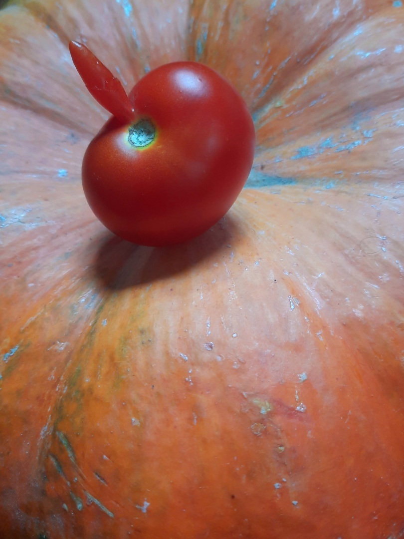 Мутации в овощах.