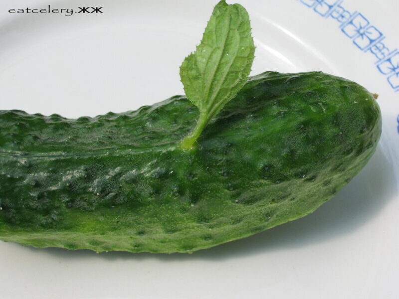 Мутации в овощах.