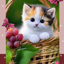 Татьяна Сергеевна, г. Данков