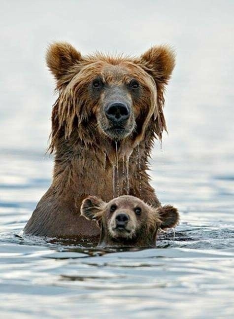 У вас все дома? Можно к вам в гости?