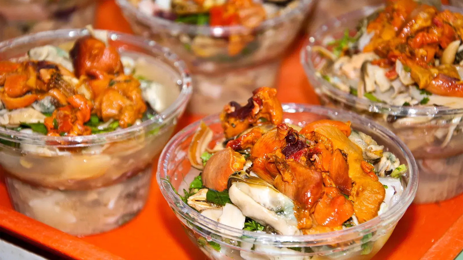 Чилийская «уродливая» съедобная асцидия