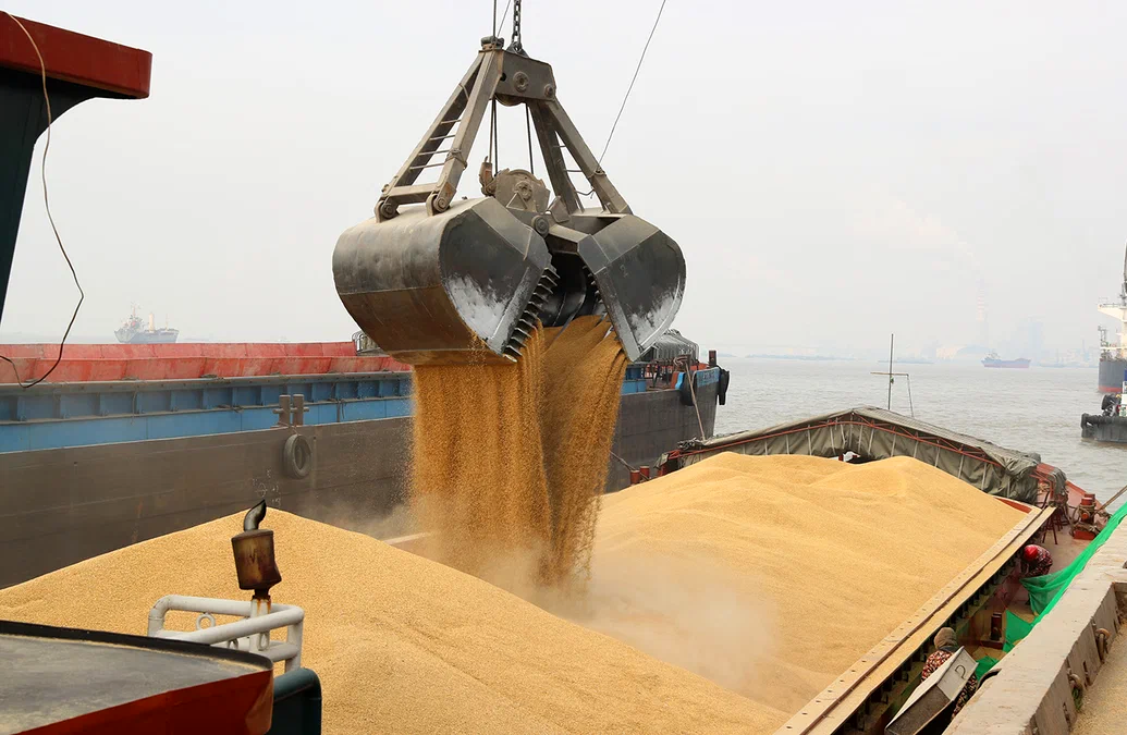 Новая зерновая сделка? Следующий шаг России