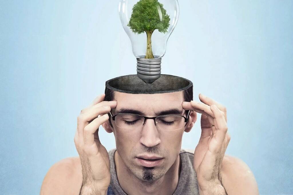 Вы часто совершали в своей жизни глупые поступки?