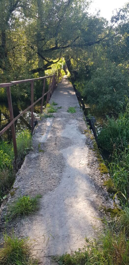 "История и легенды реки Рожайка: мистические тайны и целебные силы. История о месте, где я живу. Интересные места в подмосковье."