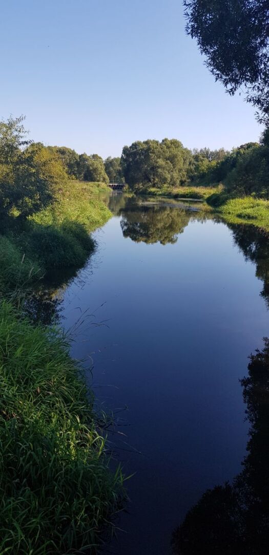 "История и легенды реки Рожайка: мистические тайны и целебные силы. История о месте, где я живу. Интересные места в подмосковье."