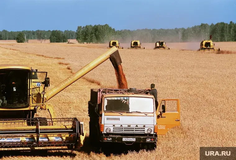 Япония в пять раз увеличила закупку зерна в России