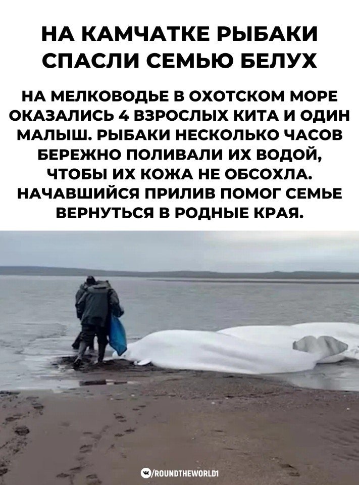 Люди с добрым сердцем?