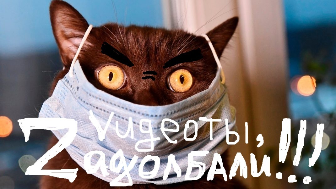 Это опять хвостатый или видеотство на максималках