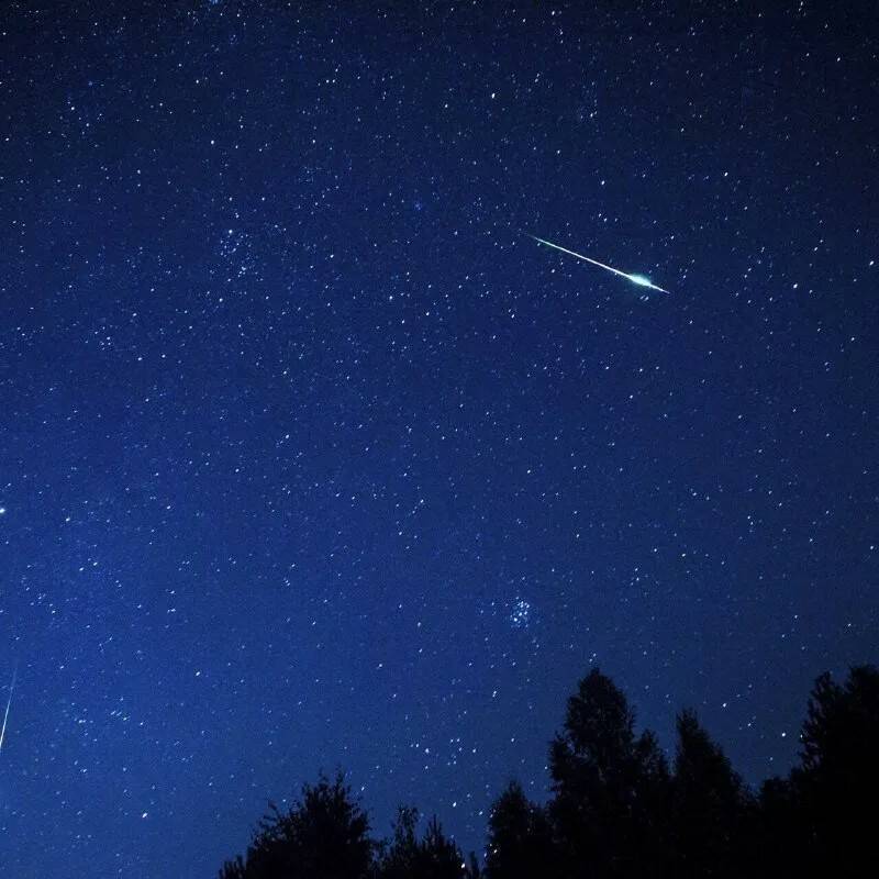 Звездопад. Артисты и их известные родственники. Часть 1