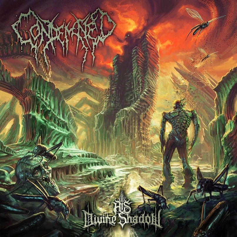 Страшные фильмы, после которых ты потеряешь всякую веру в человечество