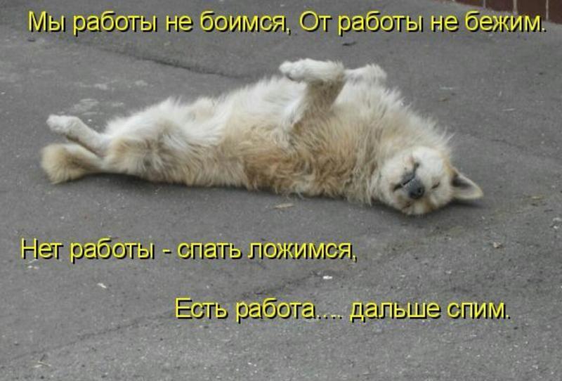 20 августа - международный день лени