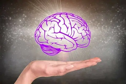 Как мозг взаимодействует с иммунной системой