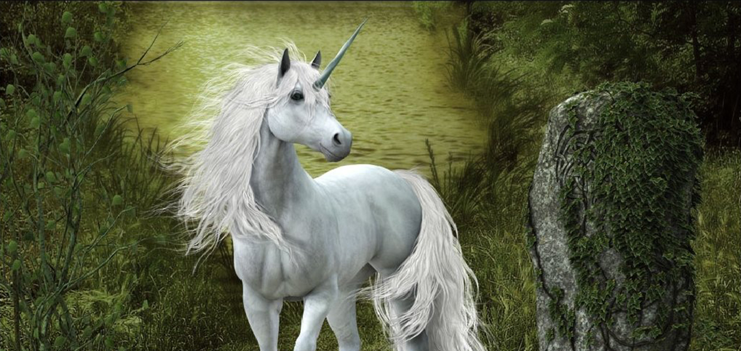 Путь к мечте Айрис