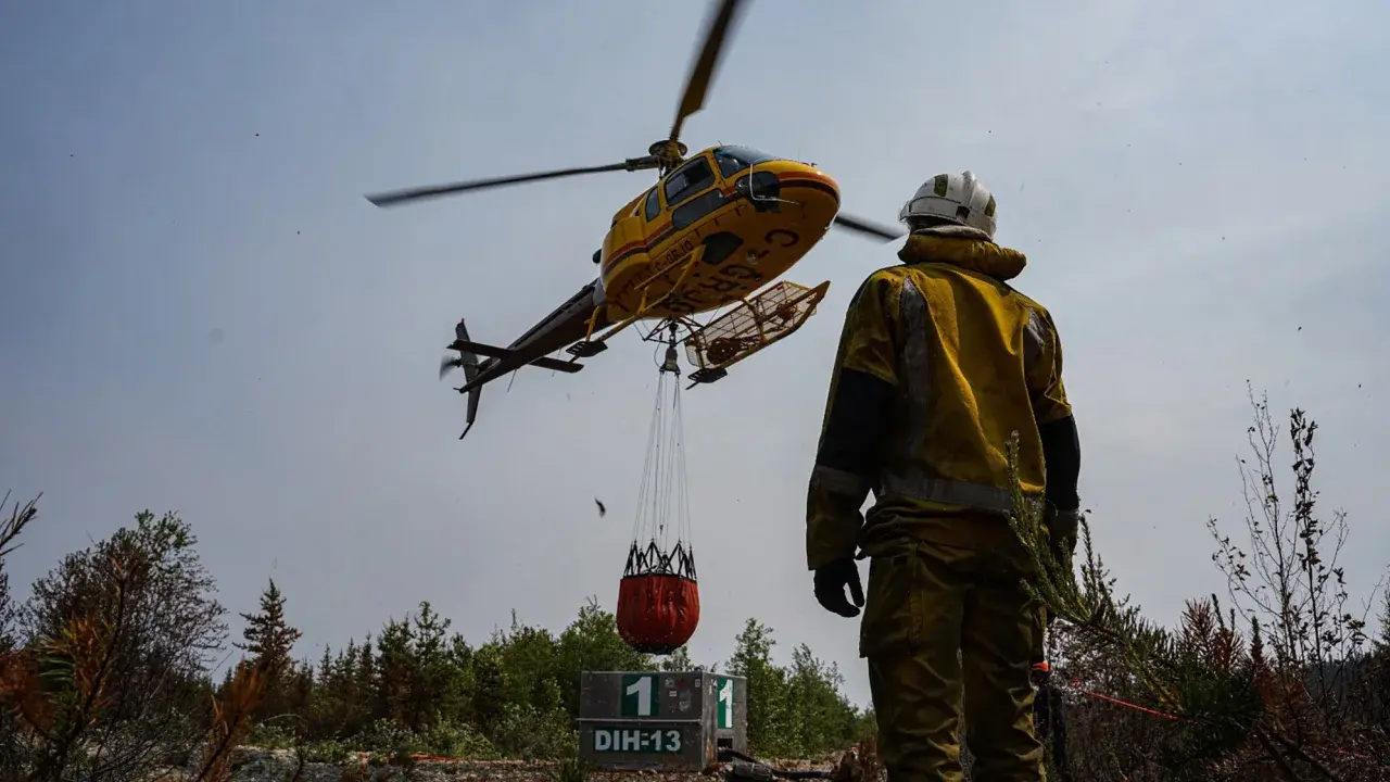 Погода, вызвавшая разрушительные лесные пожары на востоке Канады, стала вдвое более вероятной из-за изменения климата