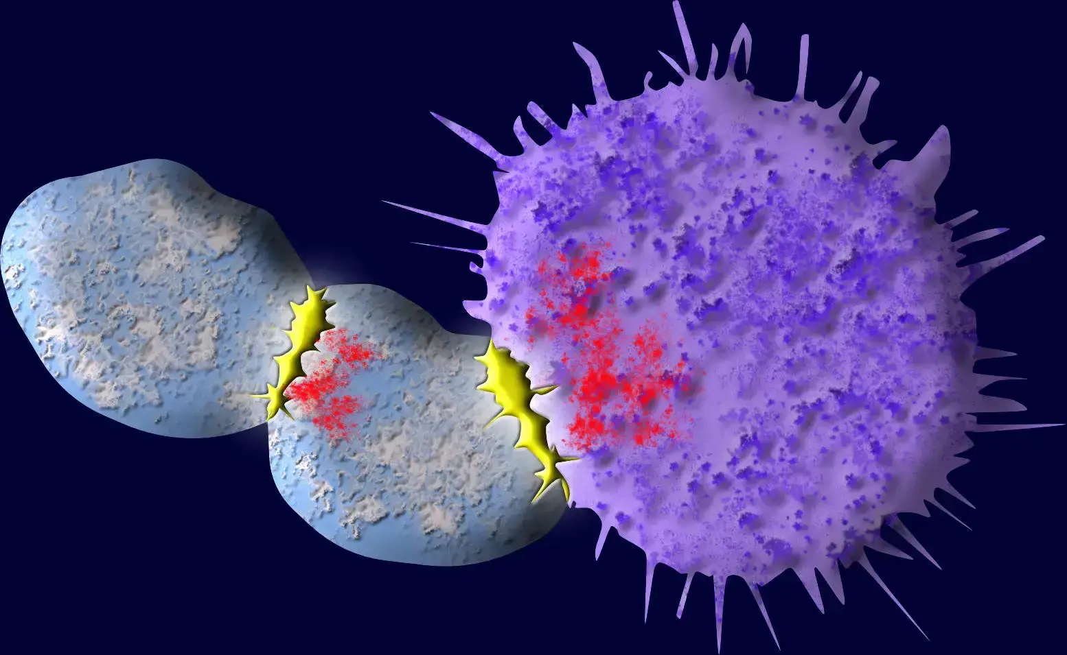 Прорыв в борьбе с раком: ученые Йельского университета открыли новый способ уменьшить дружественный огонь в клеточной терапии