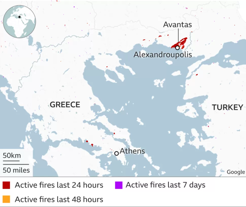 Лесные пожары в Греции: в греческом лесу найдено 18 тел