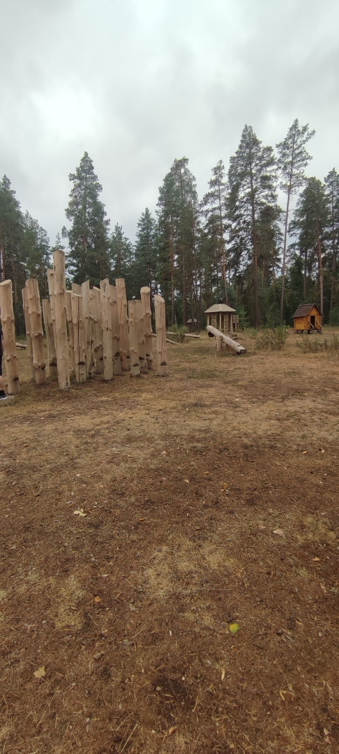 Бузулукский бор – 2023: мой отдых в сосновом бору. Национальный парк. Достопримечательности