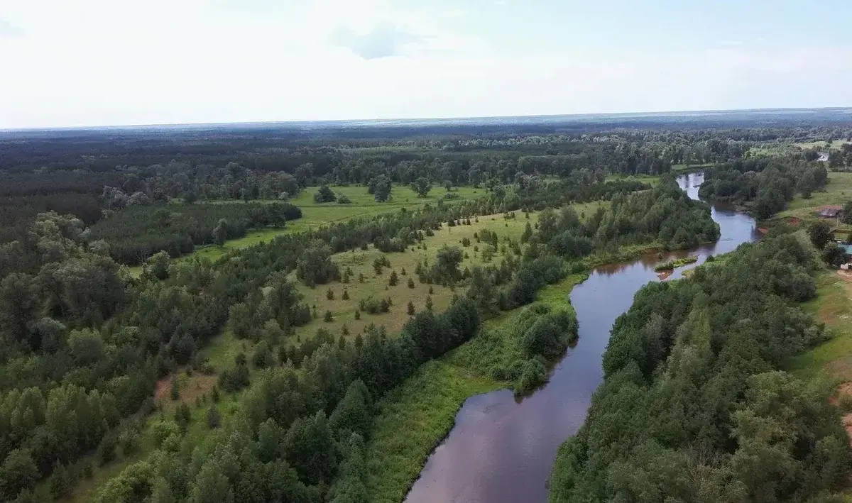 Бузулукский бор – 2023: мой отдых в сосновом бору. Национальный парк. Достопримечательности