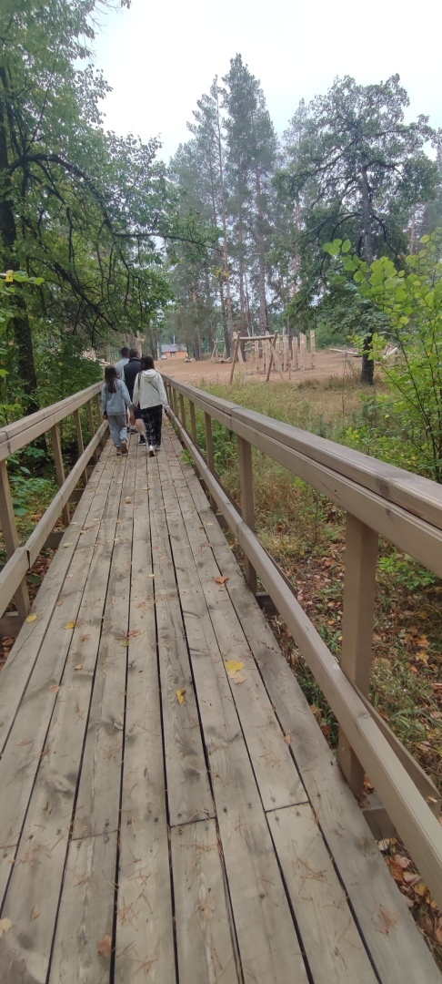 Бузулукский бор – 2023: мой отдых в сосновом бору. Национальный парк. Достопримечательности