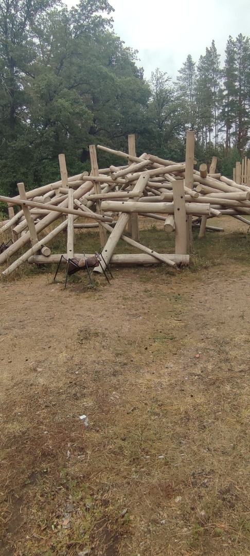 Бузулукский бор – 2023: мой отдых в сосновом бору. Национальный парк. Достопримечательности