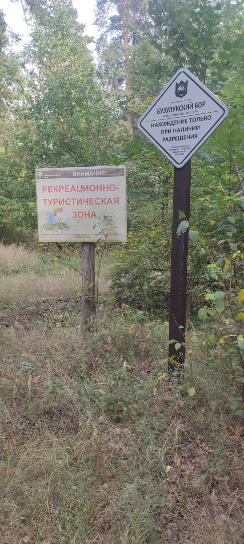Бузулукский бор – 2023: мой отдых в сосновом бору. Национальный парк. Достопримечательности