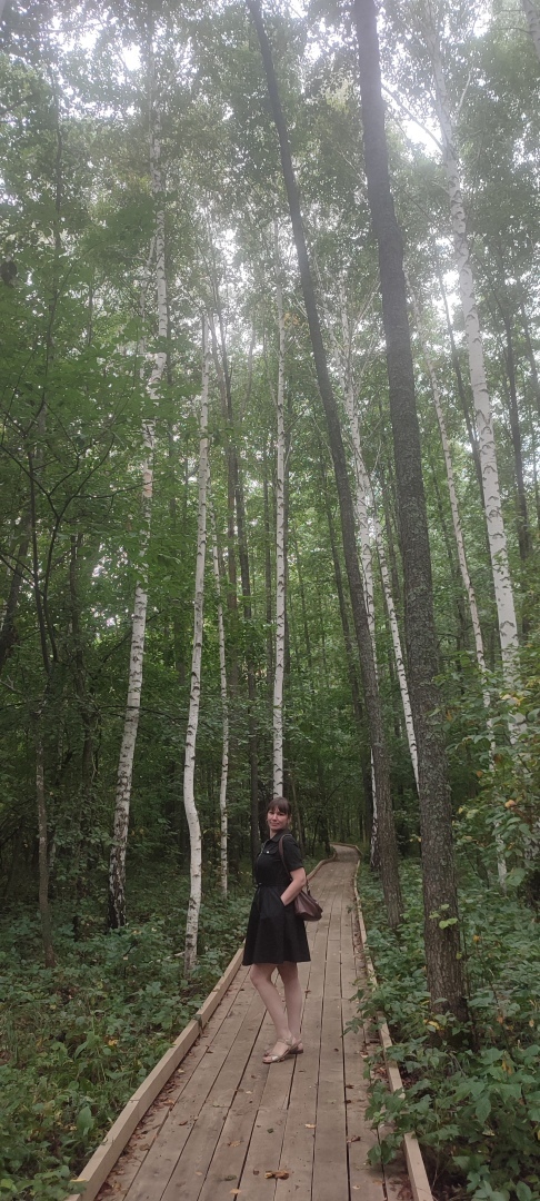 Бузулукский бор – 2023: мой отдых в сосновом бору. Национальный парк. Достопримечательности