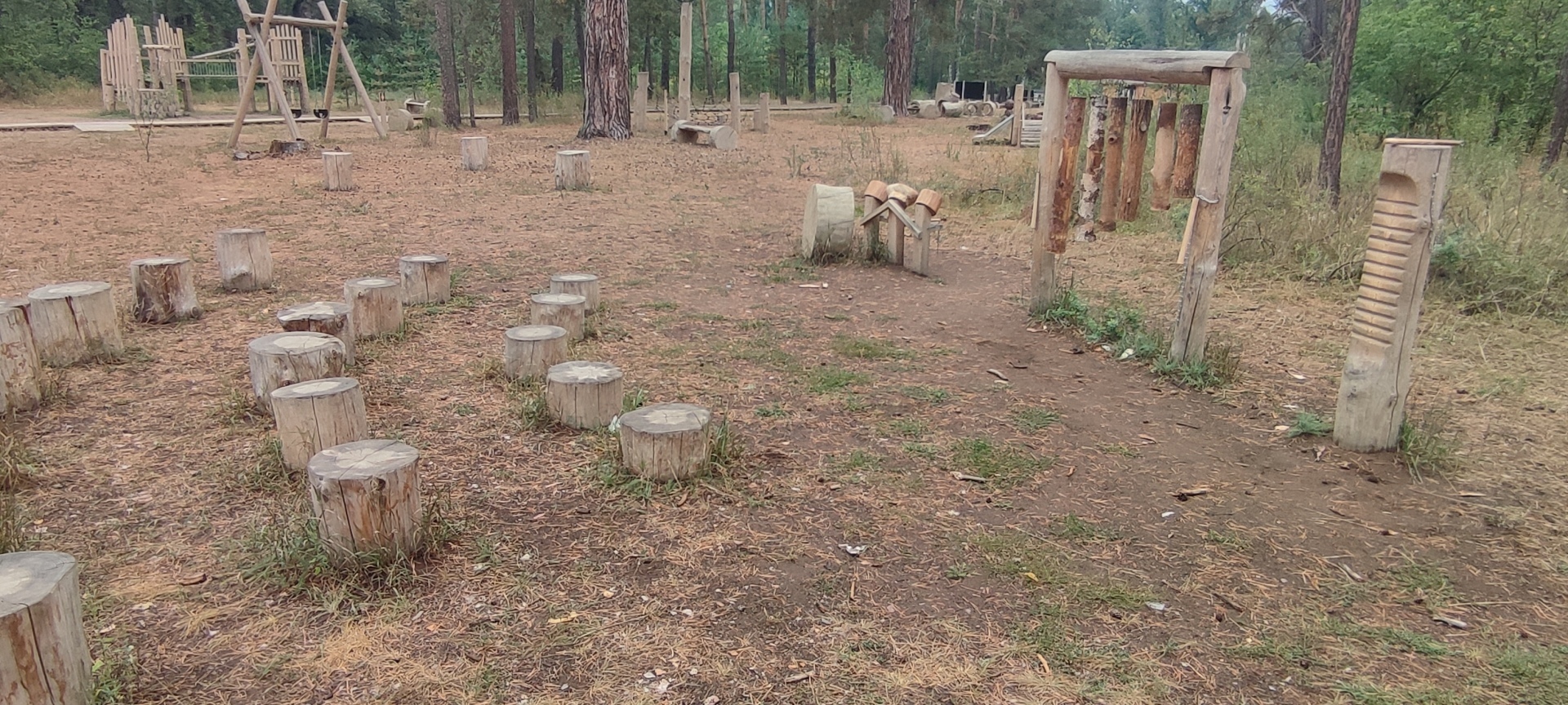 Бузулукский бор – 2023: мой отдых в сосновом бору. Национальный парк. Достопримечательности