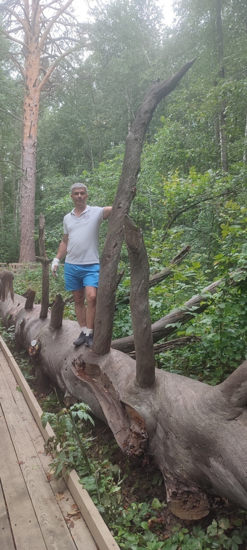 Бузулукский бор – 2023: мой отдых в сосновом бору. Национальный парк. Достопримечательности