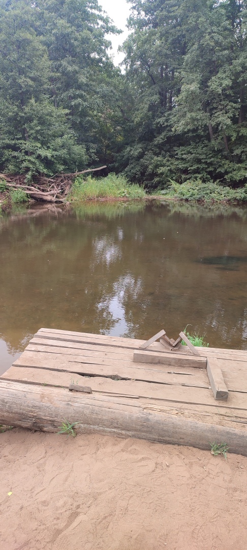 Бузулукский бор – 2023: мой отдых в сосновом бору. Национальный парк. Достопримечательности