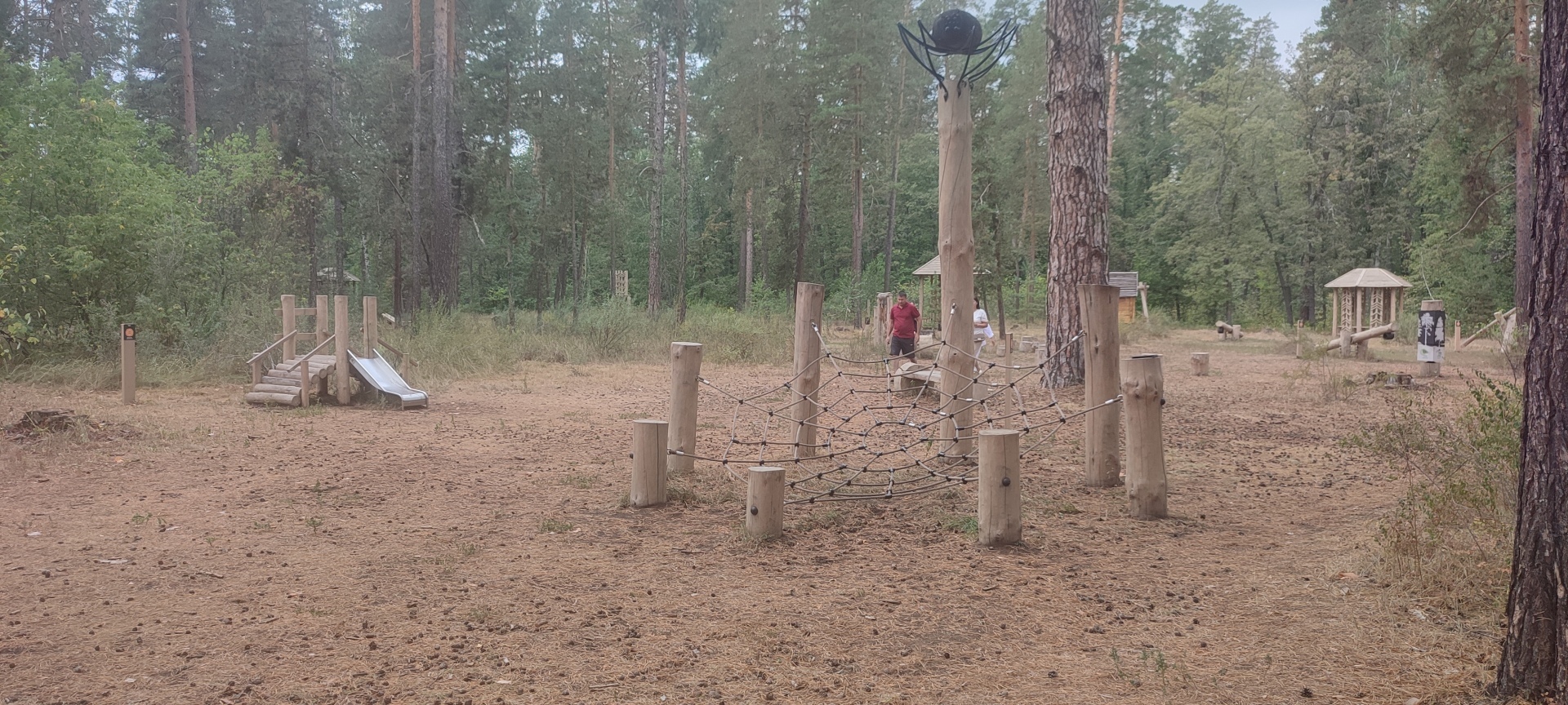 Бузулукский бор – 2023: мой отдых в сосновом бору. Национальный парк. Достопримечательности