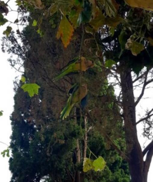 Конец августа - сентябрь 2023 Туризм в Барселону