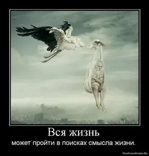 Каждый имеет свою ценность?