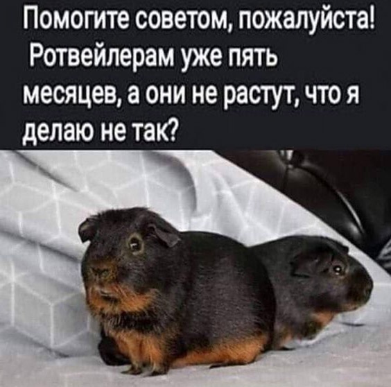 Ой, это кто такое?