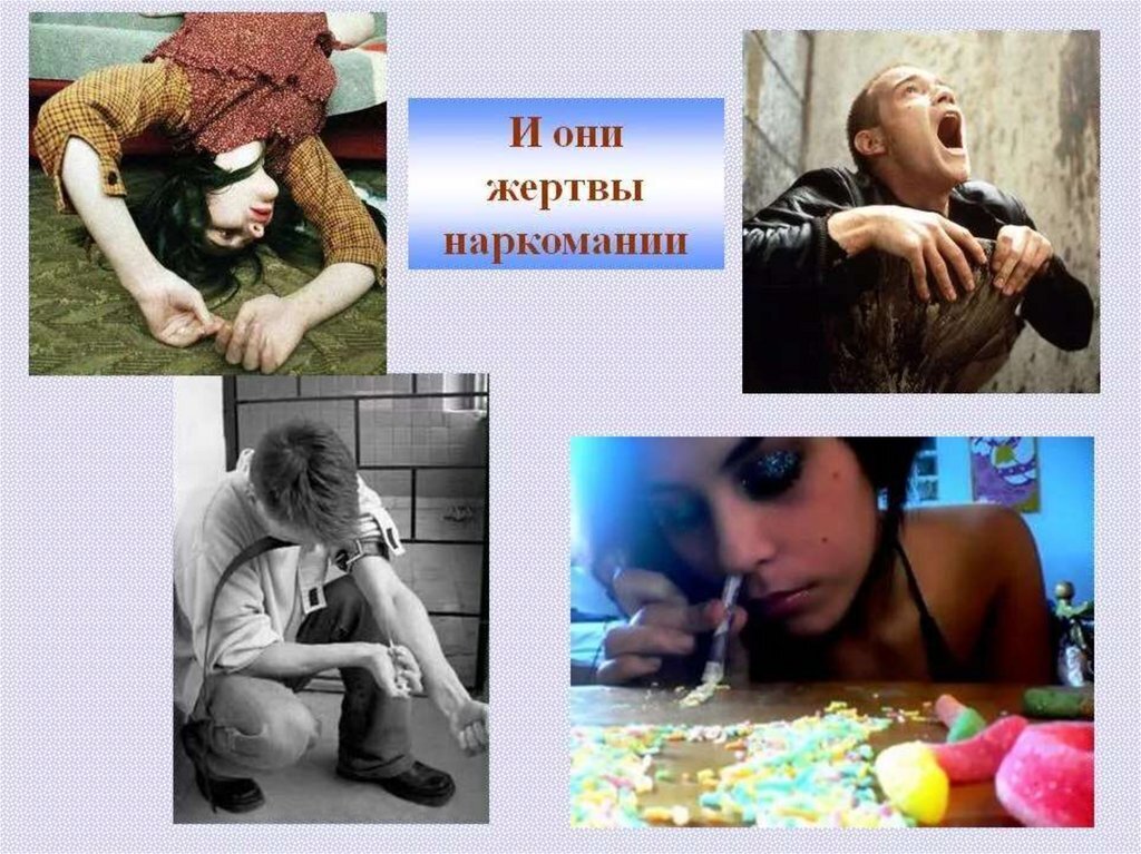 Здравый смысл говорит: незя разговаривать с наркоманами опасно для жизни